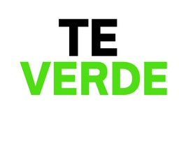 Té Verde